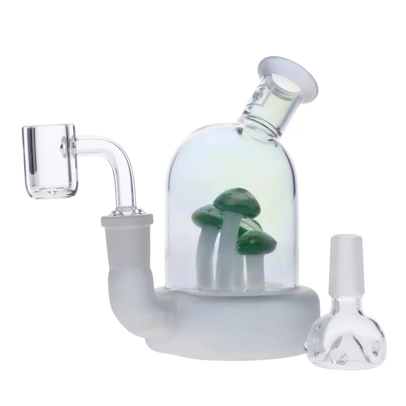 dailyhighclub2950628