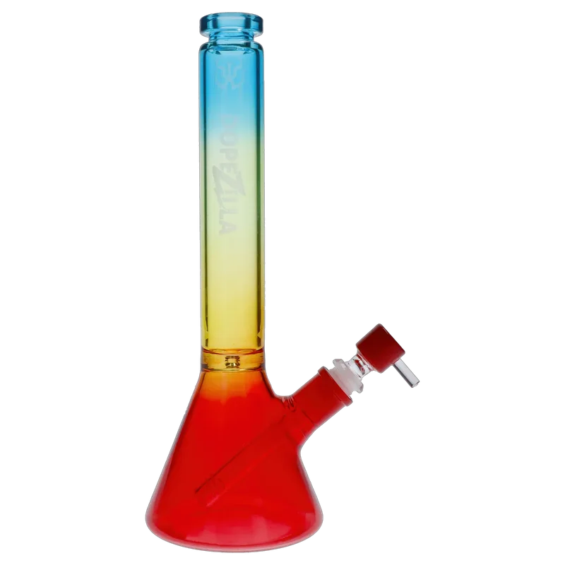 dailyhighclub3007788