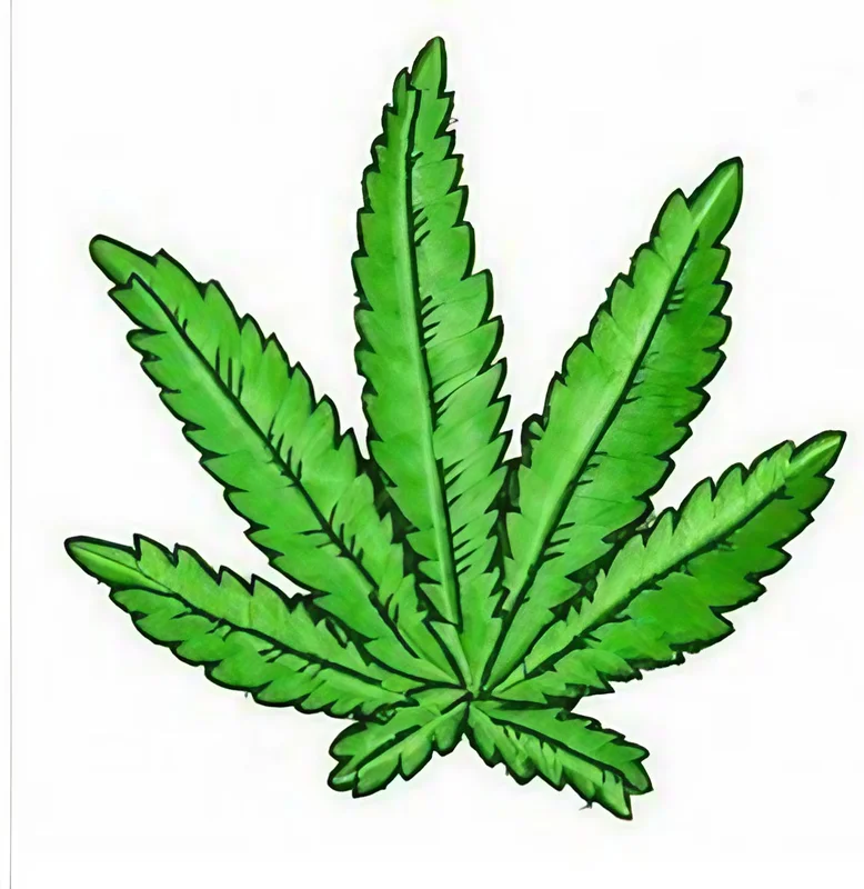 dankgeek3053897