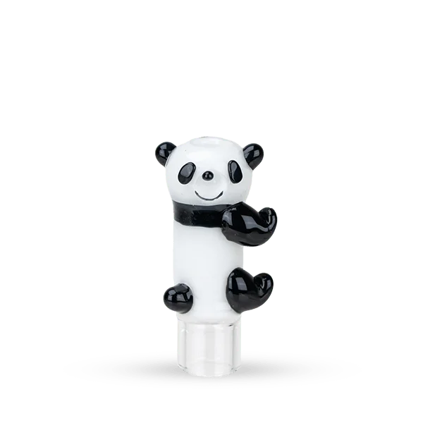 headshop2880304