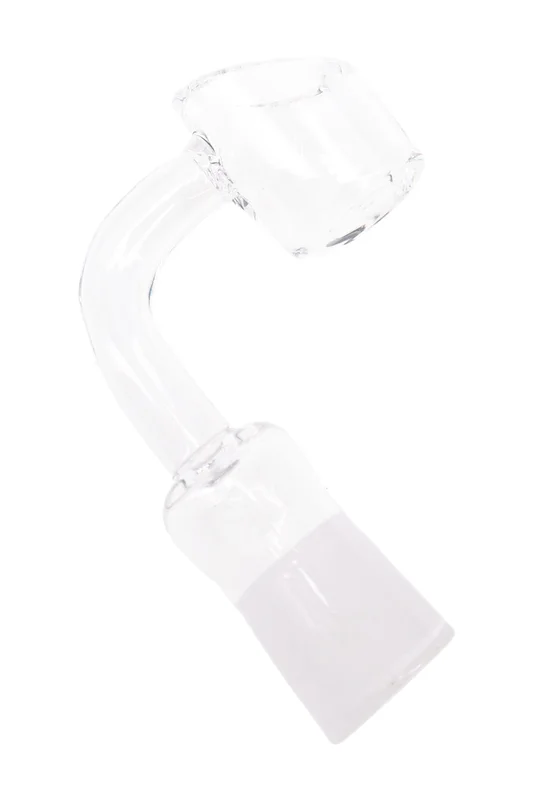 primateglass2932899