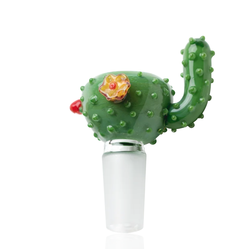 primateglass2934024