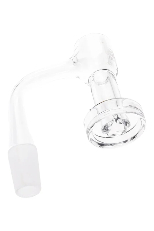 primateglass2943705