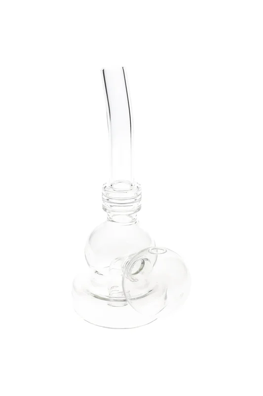 primateglass2949783