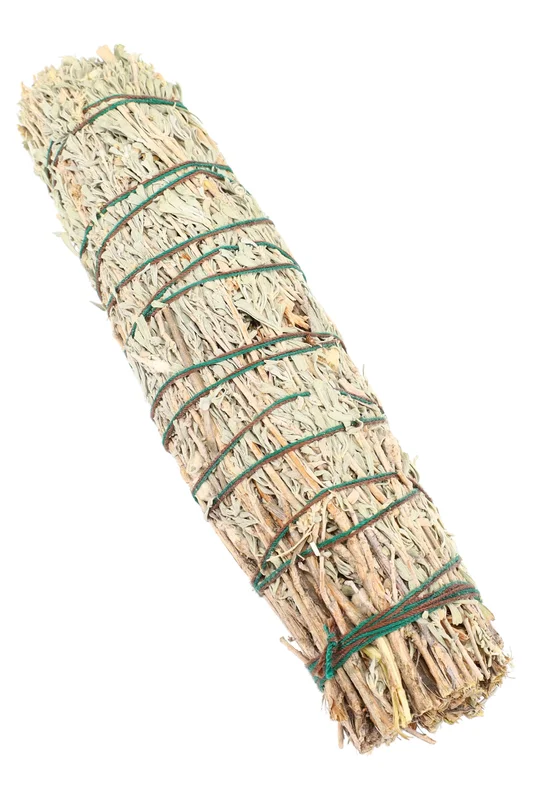 primateglass2950182