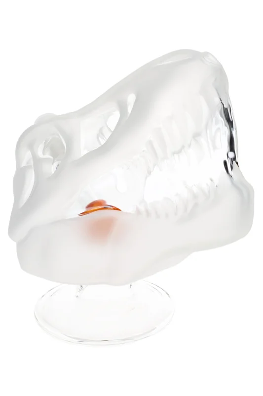 primateglass2954295