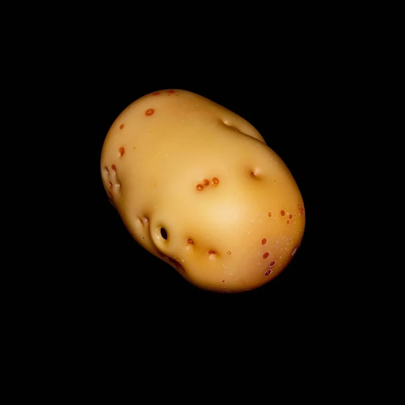 stokedct2808162