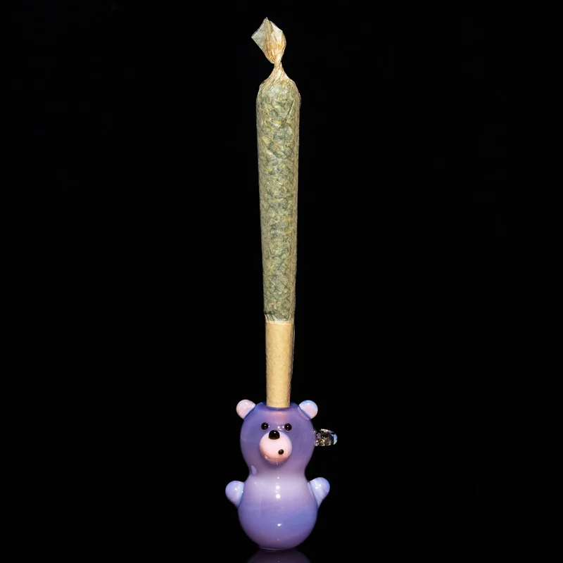 stokedct2831819