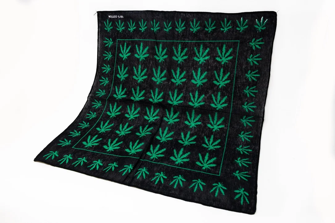 stonedgenie2980913